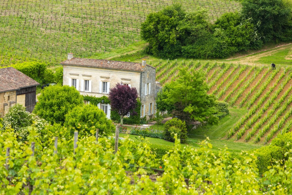 Cabernet Sauvignon, Explained 2 House And Vineyard In The Bordeaux Region Near St. Emilion