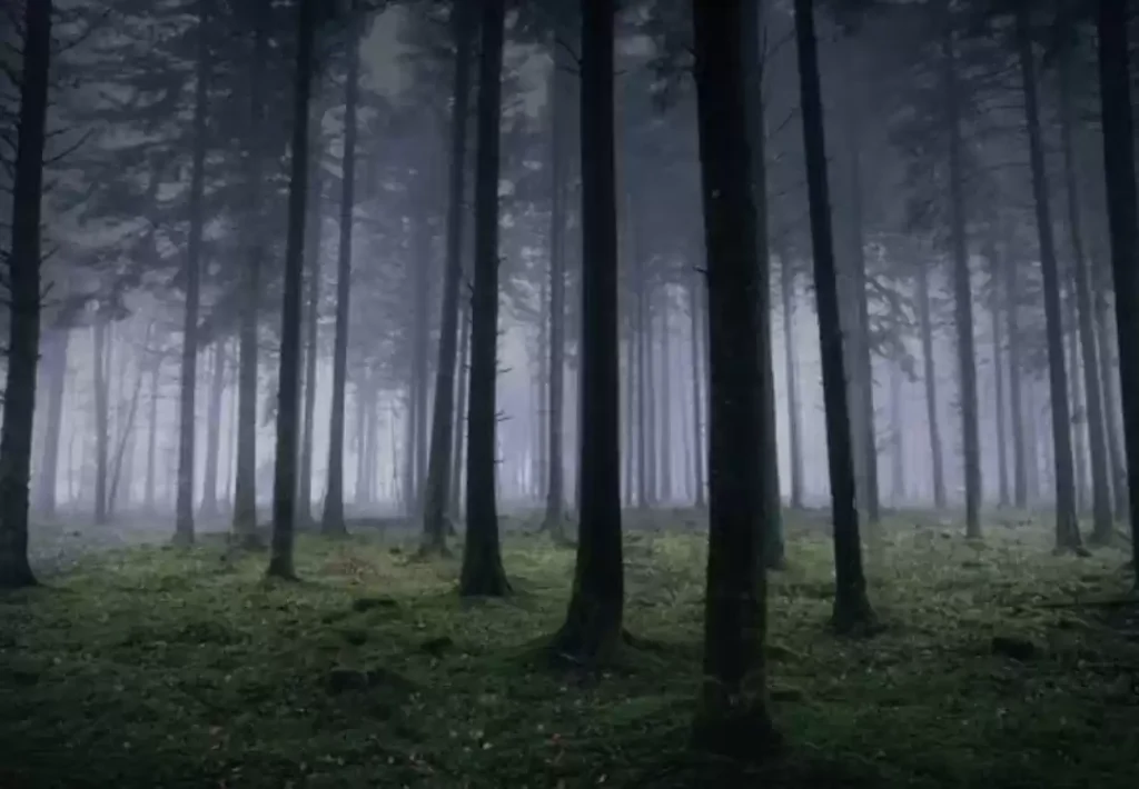 Dow Hill Kurseong - Haunted Places in India - creepyhq
