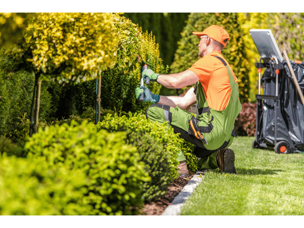 Gartenpflege und Unterhalt Zürich