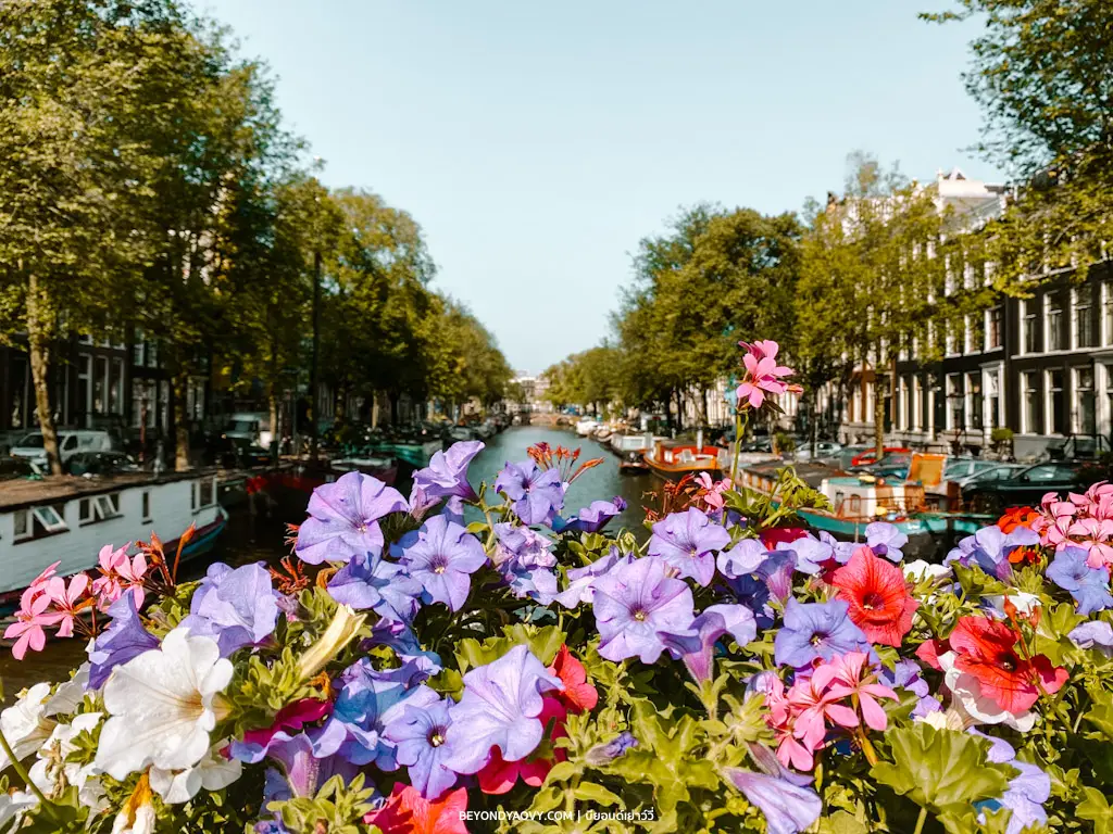 Rich results on Google's SERP when searching for ‘Amsterdam’, ‘เที่ยวอัมสเตอร์ดัม’, ‘อัมสเตอร์ดัม’, ‘สถานที่ท่องเที่ยวในอัมสเตอร์ดัม’, ‘เที่ยวเนเธอร์แลนด์’, ‘ประเทศเนเธอร์แลนด์’, ‘สถานที่ท่องเที่ยวในเนเธอร์แลนด์’, ‘Things to do in Amsterdam’, ‘เนเธอร์แลนด์ การเดินทาง’, ‘เนเธอร์แลนด์ ท่องเที่ยว’, ‘เนเธอร์แลนด์ สถานที่ท่องเที่ยว’, ‘อัมสเตอร์ดัม การเดินทาง’, ‘อัมสเตอร์ดัมท่องเที่ยว’, ‘อัมสเตอร์ดัม สถานที่ท่องเที่ยว’, ‘เที่ยวประเทศเนเธอร์แลนด์’, ‘การเดินทางท่องเที่ยวในประเทศเนเธอร์แลนด์’, ‘กิจกรรมน่าสนใจในอัมสเตอร์ดัม’, ‘พิพิธภัณฑ์ในอัมสเตอร์ดัม’, ‘พิพิธภัณฑ์ในเนเธอร์แลนด์’, ‘วางแผนเที่ยวเนเธอร์แลนด์ด้วยตัวเอง’ and ‘วางแผนเที่ยวเนเธอร์แลนด์’