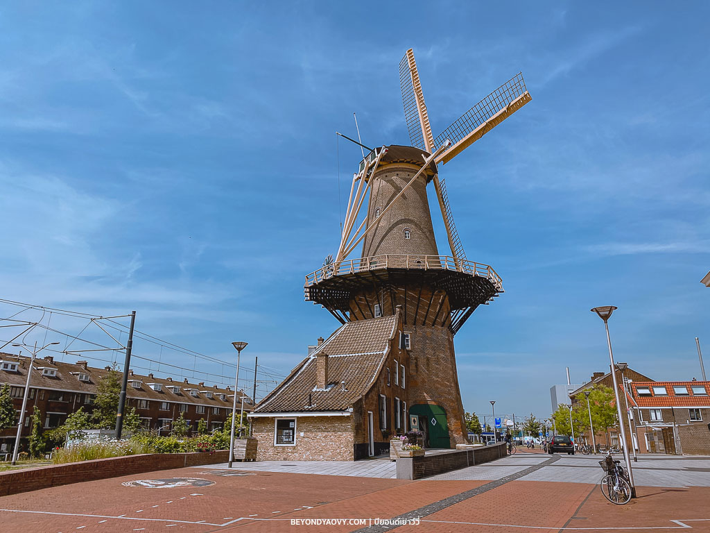 Rich results on Google's SERP when searching for ‘เที่ยวเดลฟท์’, ‘Delft’, ‘เดลฟท์’, ‘เมืองเดลฟท์’, ‘ที่เที่ยวเนเธอร์แลนด์’, ‘เมืองน่าเที่ยวเนเธอร์แลนด์’, ‘วางแผนเที่ยวเนเธอร์แลนด์’, ‘เที่ยวเนเธอร์แลนด์’, and ‘เที่ยวเนเธอร์แลนด์ด้วยตัวเอง’