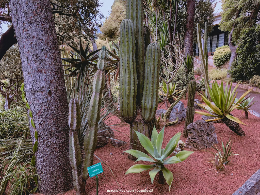 Rich results on Google's SERP when searching for ‘โมนาโก (Monaco)’, ‘เที่ยวโมนาโก (Monaco)’, ‘เที่ยวโมนาโก’, ‘Monaco’, ‘สถานที่ท่องเที่ยวในโมนาโก (Monaco)’, ‘โมนาโก (Monaco) ค่าใช้จ่าย’, ‘โมนาโก (Monaco) ที่พัก’, ‘โมนาโก (Monaco) การเดินทาง’, ‘เที่ยว โมนาโก ฝรั่งเศส’, ‘เที่ยวโมนาโก จากฝรั่งเศส’, ‘ประเทศโมนาโก’, ‘สถานที่ท่องเที่ยว โมนาโก’, ‘Road Trip in Europe’, ‘Road Trip in France’, ‘Road Trip in Monaco’, ‘Road Trips’, ‘Summer Road Trip’, ‘Summer Road Trip in Europe’, ‘ขับรถเที่ยวทางไกล’, ‘ขับรถเที่ยวทางไกลในโมนาโก’, ‘ขับรถเที่ยวทางไกลในยุโรป’, ‘ประเทศฝรั่งเศส’, ‘เที่ยวยุโรป’, ‘เที่ยวยุโรป ฤดูร้อน’, ‘เที่ยวฝรั่งเศส’, ‘One Day Itinerary for Monaco’, ‘Travelling in Monaco’, ‘ระบบขนส่งสาธารณะในโมนาโก’, ‘โมนาโก การเดินทาง’, ‘การเดินทางในโมนาโก’ and ‘โมนาโก รถไฟ’