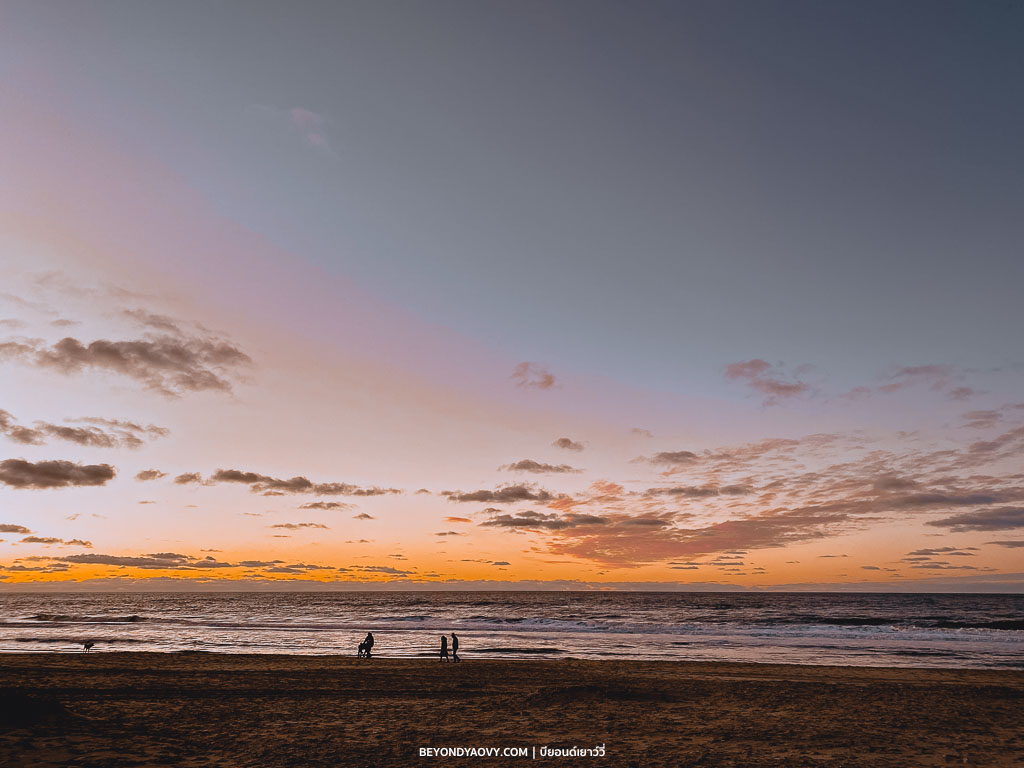 Rich results on Google's SERP when searching for ‘เขตอนุรักษ์ธรรมชาติ De Slufter’, ‘De Slufter,’ ‘อุทยานแห่งชาติเทกเซล’, ‘National Park Dunes of Texel’, ‘เดินป่าในเกาะเทกเซล’, ‘Walking in National Park Dunes of Texel’, ‘เที่ยวเกาะเทกเซล’, ‘เที่ยวเทกเซล’, ‘เทกเซล’, ‘Texel’, ‘ชายหาดเทกเซล’, ‘จังหวัดนอร์ทฮอลแลนด์’, ‘North Holland’, ‘ฤดูหนาวในเนเธอร์แลนด์’, ‘อุทยานแห่งชาติในเนเธอร์แลนด์’, ‘The Netherlands’, ‘เนเธอร์แลนด์’, ‘ประเทศเนเธอร์แลนด์’, ‘Travelling in The Netherlands’, ‘Travelling in Texel’, ‘Things to do in Texel’, ‘สถานที่ท่องเที่ยวในเนเธอร์แลนด์’, ‘สถานที่ท่องเที่ยวในเกาะเทกเซล’, ‘เนเธอร์แลนด์ การเดินทาง’, ‘เนเธอร์แลนด์ ท่องเที่ยว’, ‘เนเธอร์แลนด์ สถานที่ท่องเที่ยว’, ‘เที่ยวประเทศเนเธอร์แลนด์’, ‘เที่ยวเนเธอร์แลนด์’, ‘การเดินทางท่องเที่ยวในประเทศเนเธอร์แลนด์’, ‘เดินป่า’, ‘ชมธรรมชาติ’, ‘กิจกรรมน่าสนใจในฤดูหนาว’, ‘กิจกรรมน่าสนใจในฤดูหนาวที่เนเธอร์แลนด์’, ‘เที่ยวเนเธอร์แลนด์’, ‘เที่ยวอัมสเตอร์ดัม’, ‘วางแผนเที่ยวเนเธอร์แลนด์ด้วยตัวเอง’ and ‘วางแผนเที่ยวเนเธอร์แลนด์’