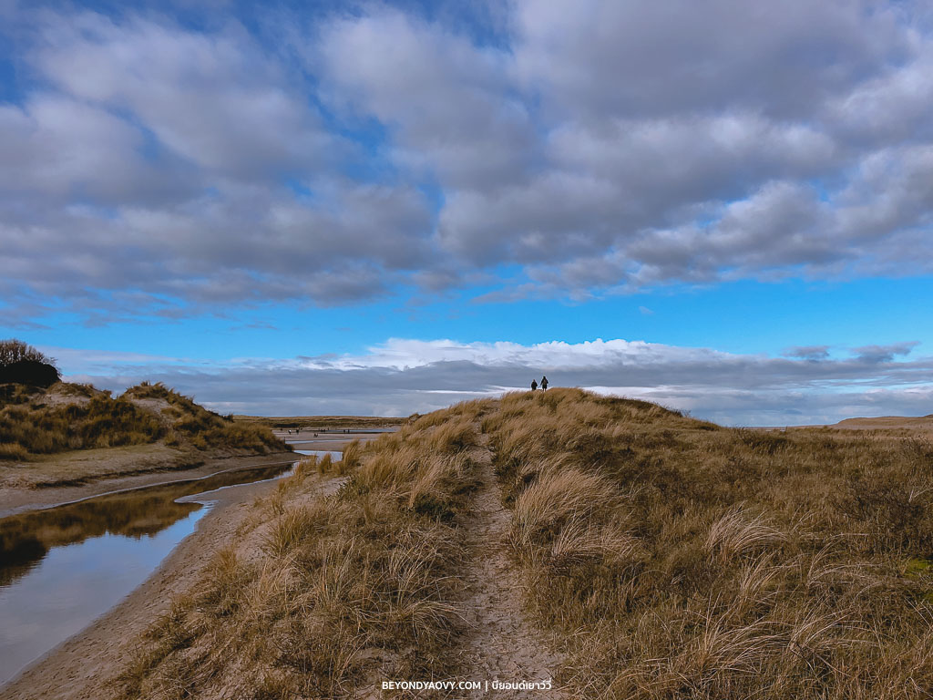Rich results on Google's SERP when searching for ‘เขตอนุรักษ์ธรรมชาติ De Slufter’, ‘De Slufter,’ ‘อุทยานแห่งชาติเทกเซล’, ‘National Park Dunes of Texel’, ‘เดินป่าในเกาะเทกเซล’, ‘Walking in National Park Dunes of Texel’, ‘เที่ยวเกาะเทกเซล’, ‘เที่ยวเทกเซล’, ‘เทกเซล’, ‘Texel’, ‘ชายหาดเทกเซล’, ‘จังหวัดนอร์ทฮอลแลนด์’, ‘North Holland’, ‘ฤดูหนาวในเนเธอร์แลนด์’, ‘อุทยานแห่งชาติในเนเธอร์แลนด์’, ‘The Netherlands’, ‘เนเธอร์แลนด์’, ‘ประเทศเนเธอร์แลนด์’, ‘Travelling in The Netherlands’, ‘Travelling in Texel’, ‘Things to do in Texel’, ‘สถานที่ท่องเที่ยวในเนเธอร์แลนด์’, ‘สถานที่ท่องเที่ยวในเกาะเทกเซล’, ‘เนเธอร์แลนด์ การเดินทาง’, ‘เนเธอร์แลนด์ ท่องเที่ยว’, ‘เนเธอร์แลนด์ สถานที่ท่องเที่ยว’, ‘เที่ยวประเทศเนเธอร์แลนด์’, ‘เที่ยวเนเธอร์แลนด์’, ‘การเดินทางท่องเที่ยวในประเทศเนเธอร์แลนด์’, ‘เดินป่า’, ‘ชมธรรมชาติ’, ‘กิจกรรมน่าสนใจในฤดูหนาว’, ‘กิจกรรมน่าสนใจในฤดูหนาวที่เนเธอร์แลนด์’, ‘เที่ยวเนเธอร์แลนด์’, ‘เที่ยวอัมสเตอร์ดัม’, ‘วางแผนเที่ยวเนเธอร์แลนด์ด้วยตัวเอง’ and ‘วางแผนเที่ยวเนเธอร์แลนด์’