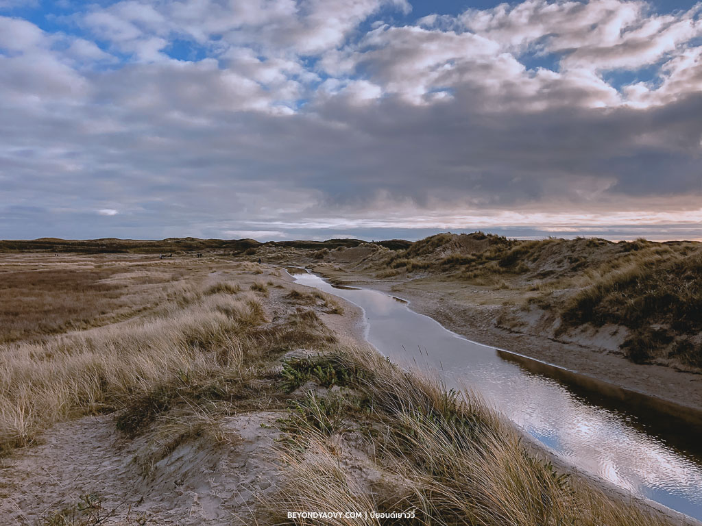Rich results on Google's SERP when searching for ‘เขตอนุรักษ์ธรรมชาติ De Slufter’, ‘De Slufter,’ ‘อุทยานแห่งชาติเทกเซล’, ‘National Park Dunes of Texel’, ‘เดินป่าในเกาะเทกเซล’, ‘Walking in National Park Dunes of Texel’, ‘เที่ยวเกาะเทกเซล’, ‘เที่ยวเทกเซล’, ‘เทกเซล’, ‘Texel’, ‘ชายหาดเทกเซล’, ‘จังหวัดนอร์ทฮอลแลนด์’, ‘North Holland’, ‘ฤดูหนาวในเนเธอร์แลนด์’, ‘อุทยานแห่งชาติในเนเธอร์แลนด์’, ‘The Netherlands’, ‘เนเธอร์แลนด์’, ‘ประเทศเนเธอร์แลนด์’, ‘Travelling in The Netherlands’, ‘Travelling in Texel’, ‘Things to do in Texel’, ‘สถานที่ท่องเที่ยวในเนเธอร์แลนด์’, ‘สถานที่ท่องเที่ยวในเกาะเทกเซล’, ‘เนเธอร์แลนด์ การเดินทาง’, ‘เนเธอร์แลนด์ ท่องเที่ยว’, ‘เนเธอร์แลนด์ สถานที่ท่องเที่ยว’, ‘เที่ยวประเทศเนเธอร์แลนด์’, ‘เที่ยวเนเธอร์แลนด์’, ‘การเดินทางท่องเที่ยวในประเทศเนเธอร์แลนด์’, ‘เดินป่า’, ‘ชมธรรมชาติ’, ‘กิจกรรมน่าสนใจในฤดูหนาว’, ‘กิจกรรมน่าสนใจในฤดูหนาวที่เนเธอร์แลนด์’, ‘เที่ยวเนเธอร์แลนด์’, ‘เที่ยวอัมสเตอร์ดัม’, ‘วางแผนเที่ยวเนเธอร์แลนด์ด้วยตัวเอง’ and ‘วางแผนเที่ยวเนเธอร์แลนด์’