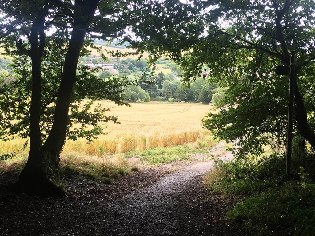 Old Amersham: the field you walk by after passing the wood