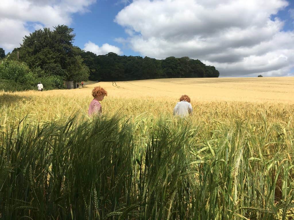 OLD AMERSHAM: Liam and Santiago exploring the field