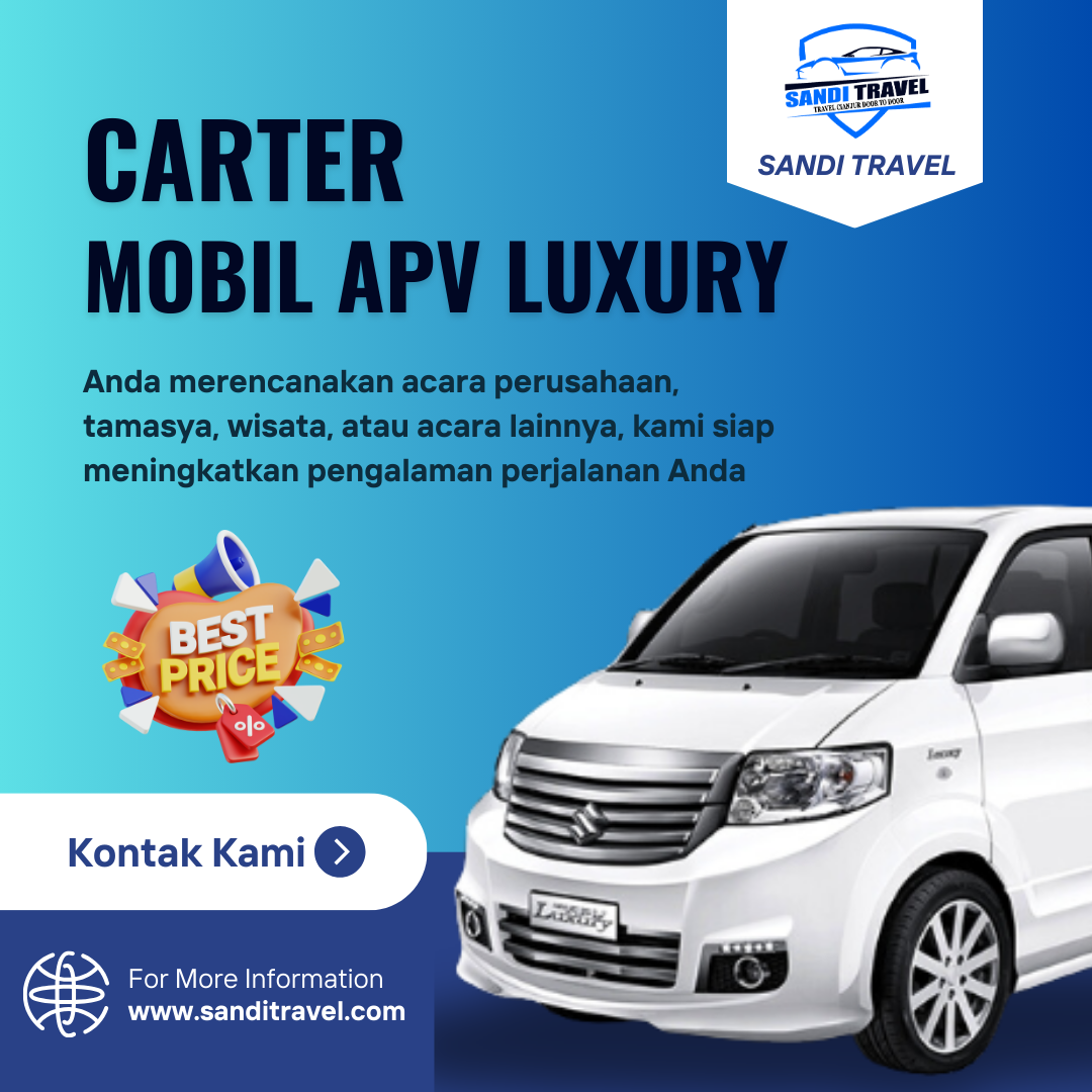 sandi tour travel