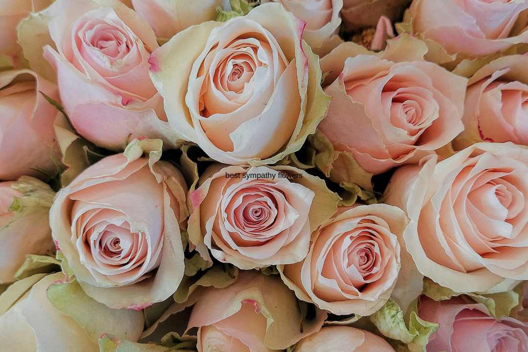 best sympathy flowers 7