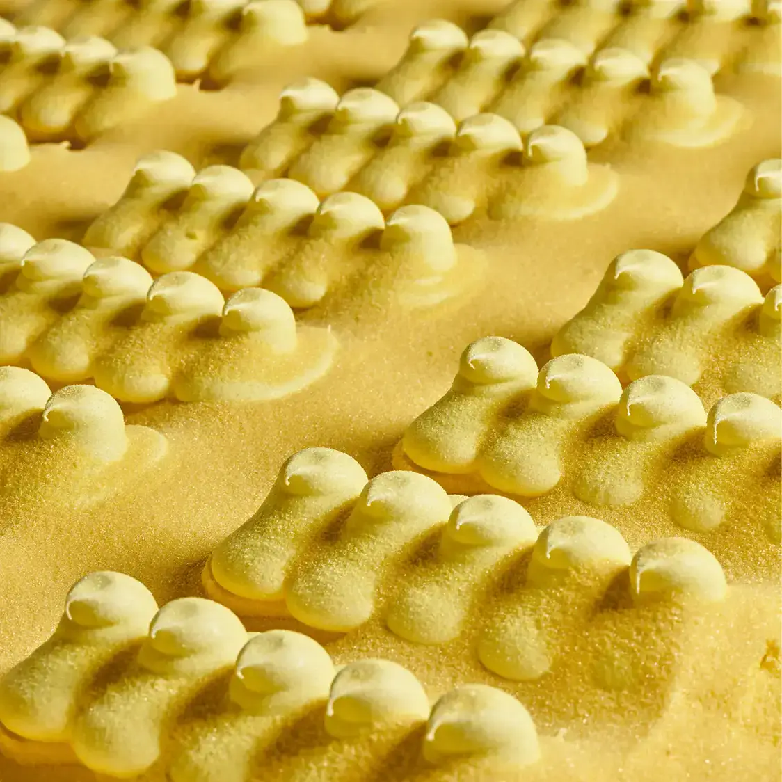Rows of yellow marshmallow chicks on a factory conveyor belt, thickly coated in fine yellow sugar.