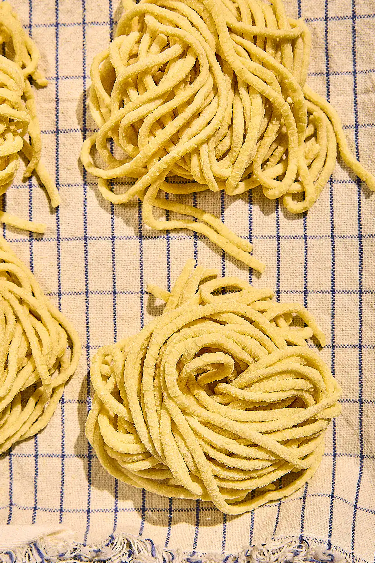 How to Make Bigoli Pasta at Home (Using a Pasta Machine)
