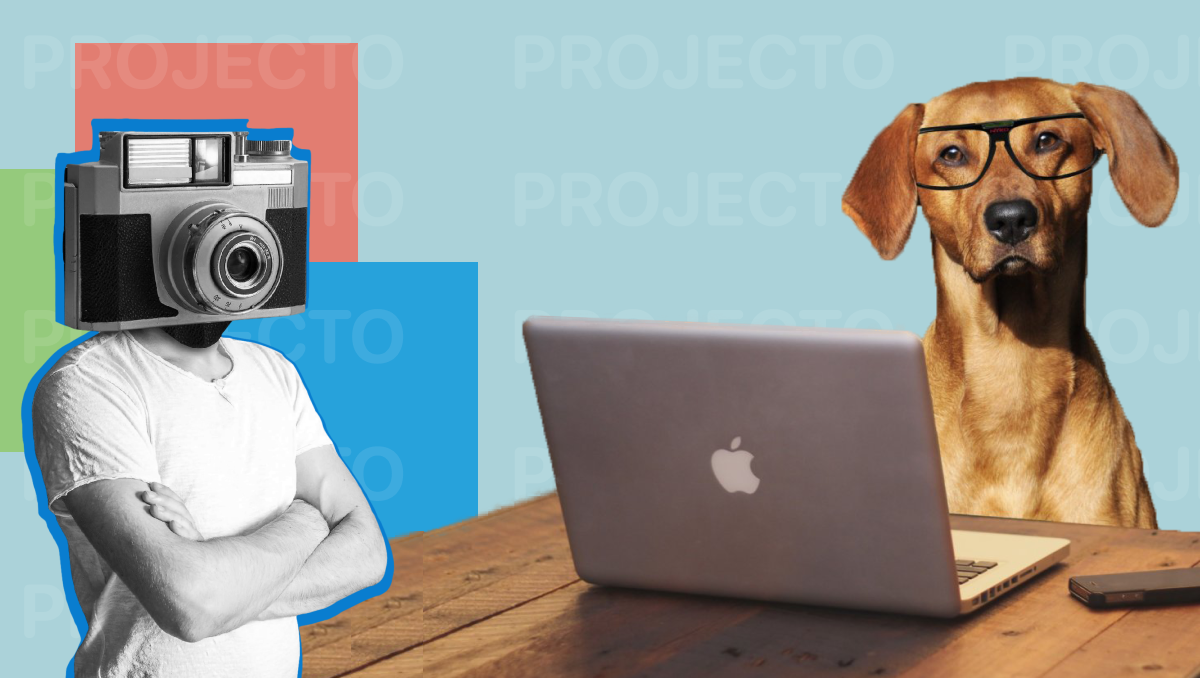 Фотография рабочего дня сотрудника