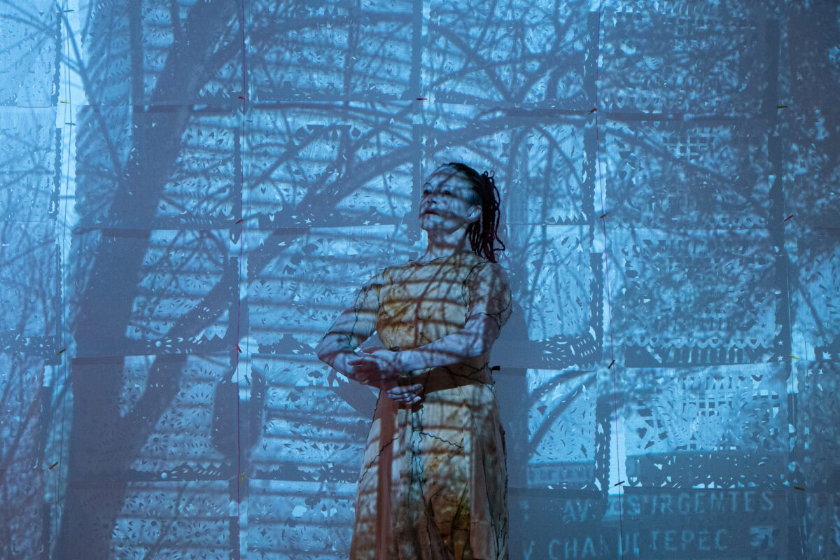Images from the 13th Chronicle by Salome Nieto