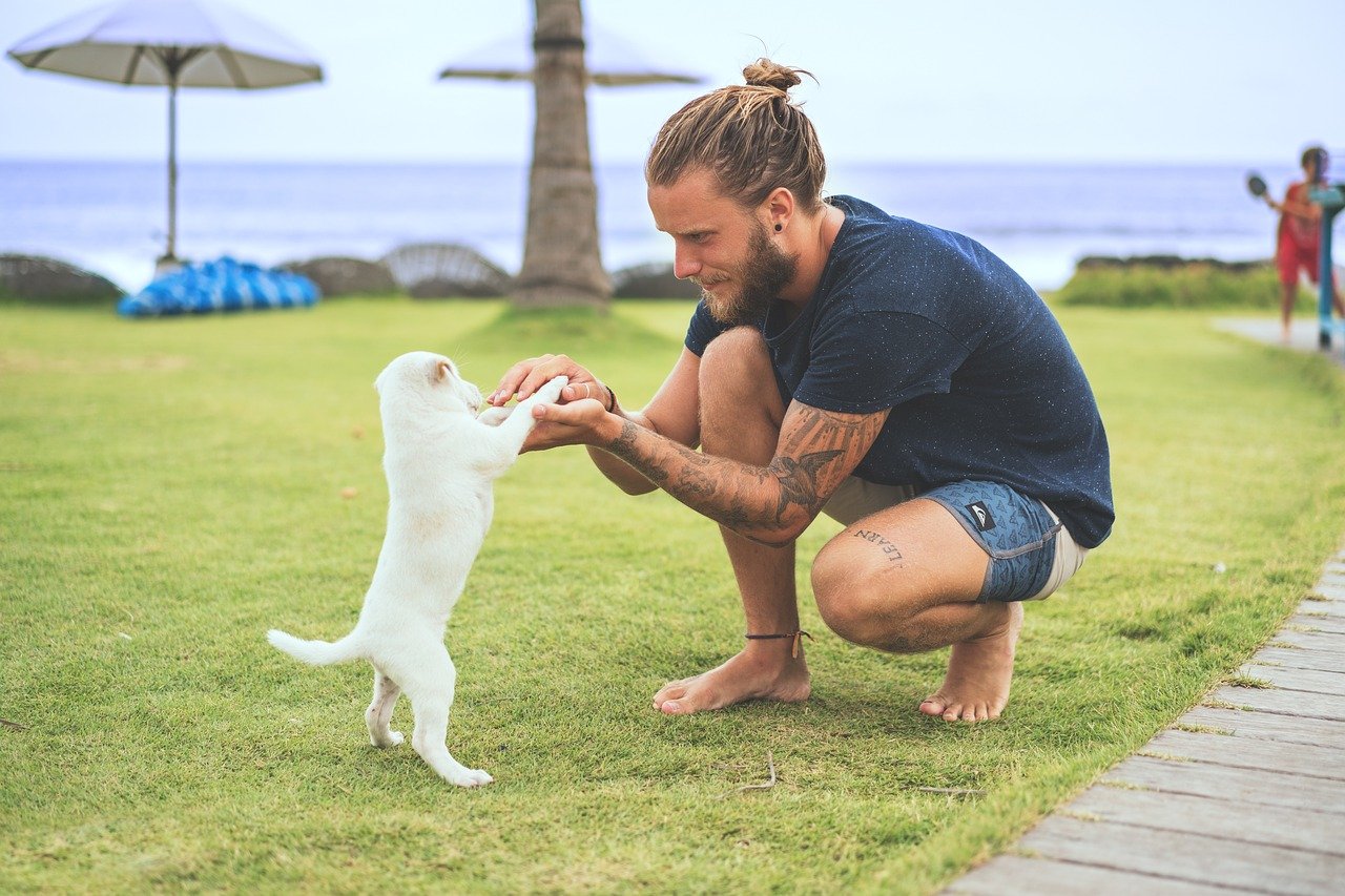 getting a dog, Keeping Dogs Calm When Left Alone