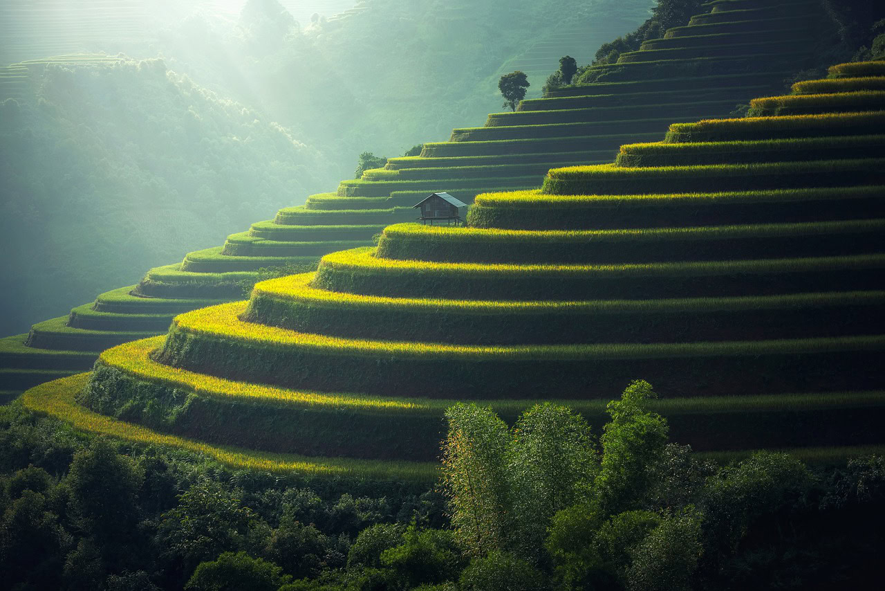 trip to thailand