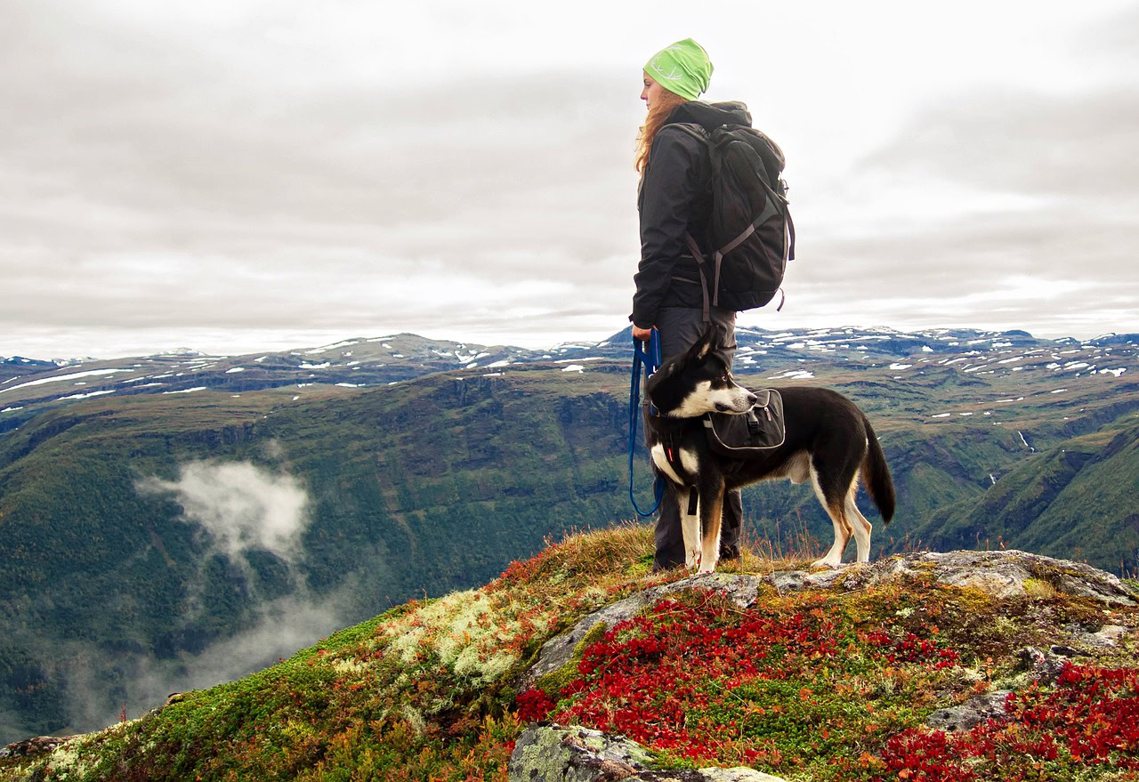 hiking with your pet, tips for traveling with a dog