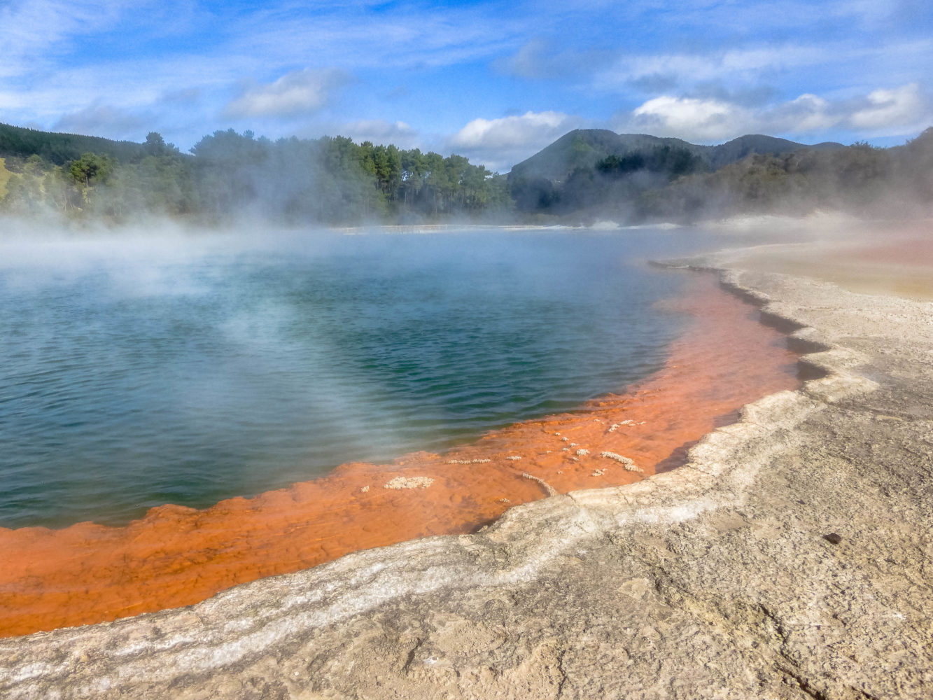 Champagne Pool in Wai-O-Tapu