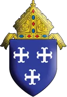 Free pregnancy help, abortion counseling, and crisis pregnancy programs