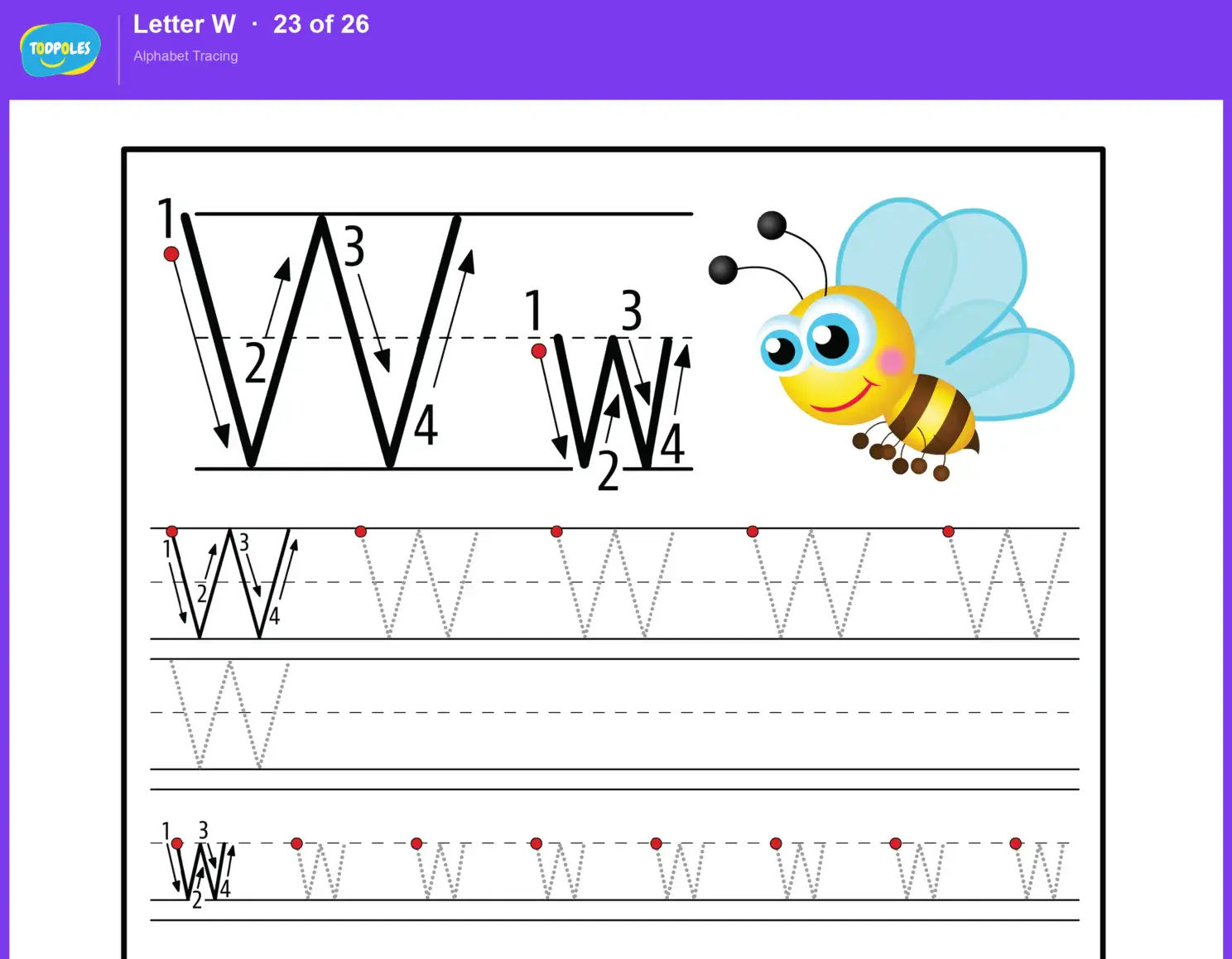 Letter W tracing worksheet — uppercase W and lowercase w with guided tracing lines
