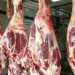 أسعار اللحوم والأضاحي اليوم