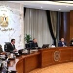 الحكومة تتحرك لمواجهة فوضى السوشيال ميديا.. تشريعات جديدة لحماية المجتمع الحكومة تتحرك لمواجهة فوضى السوشيال ميديا.. تشريعات جديدة لحماية المجتمع