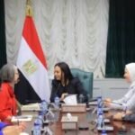 جسور الحماية بين القاهرة وروما.. عندما تلتقي خبرات الشمال بالجنوب جسور الحماية بين القاهرة وروما.. عندما تلتقي خبرات الشمال بالجنوب