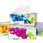 Duro Facial Tissues 2ply 100sh pack size: 48
