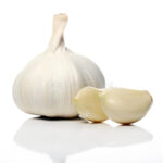 catalog/GARLICFRSH.jpg