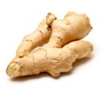 catalog/GINGER.jpg