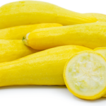 catalog/SQUASH.png