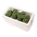 BROCCOLI 8KG/CTN