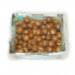 KIWIFRUIT BOX 5KG - SEASONAL