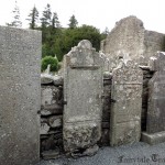 img 4576