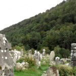 img 4582