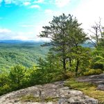 Pisgah National Forest