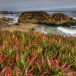 Along the Pacific Coast Highway