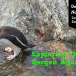 Bergen Aquarium
