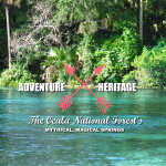 Native American Heritage in Florida Ocala
