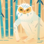 DV1 demiguise feature