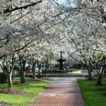 Things to do in Macon, Georgia