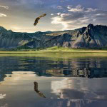 Facts about New Zealand