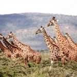 places to visit in africa