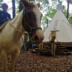 airbnb teepee
