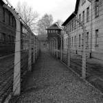 Auschwitz Memorial Museum, Auschwitz history