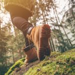 hike, hiking, hikers
