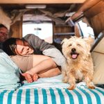 campervan travel tips