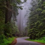 Trip into Fairytale experience