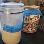 sourdough starter