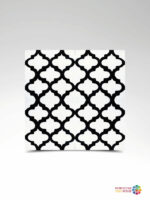 Hassan-0500917
