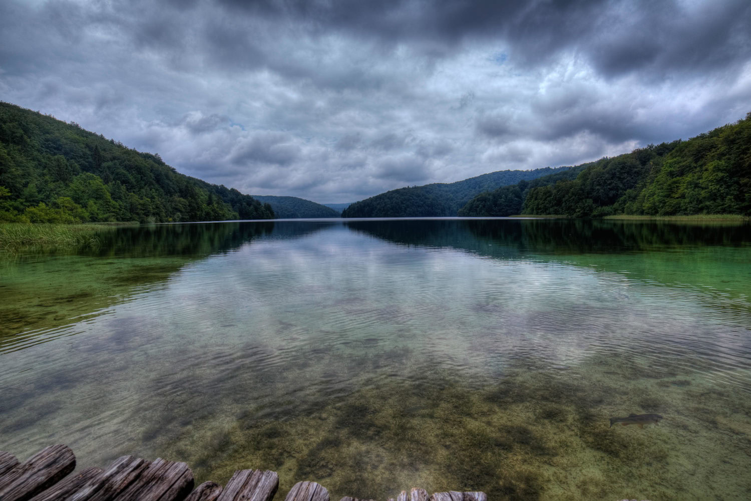 Ufer im Nationalpark Plitvicer Seen